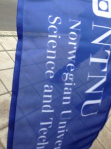 Fahne der NTNU