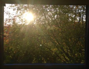 Fenster mit SONNE!